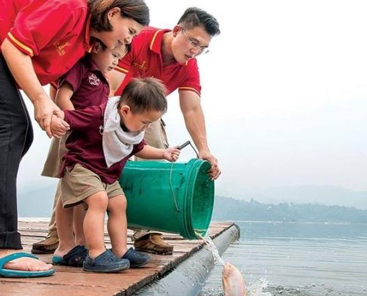 Bạch Thoại Phật Pháp
