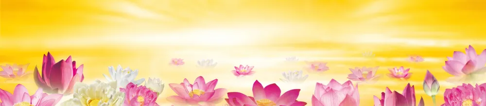 Thủ tục Thắng Văn Đổi Tên | Dành cho người muốn đổi tên