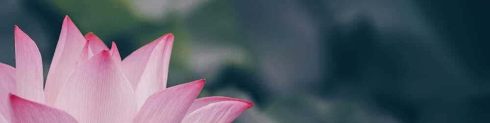 Chuyên đề về giường ngủ